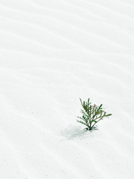 jill-heyer-03ztkGdYWU8-unsplash_edited_e